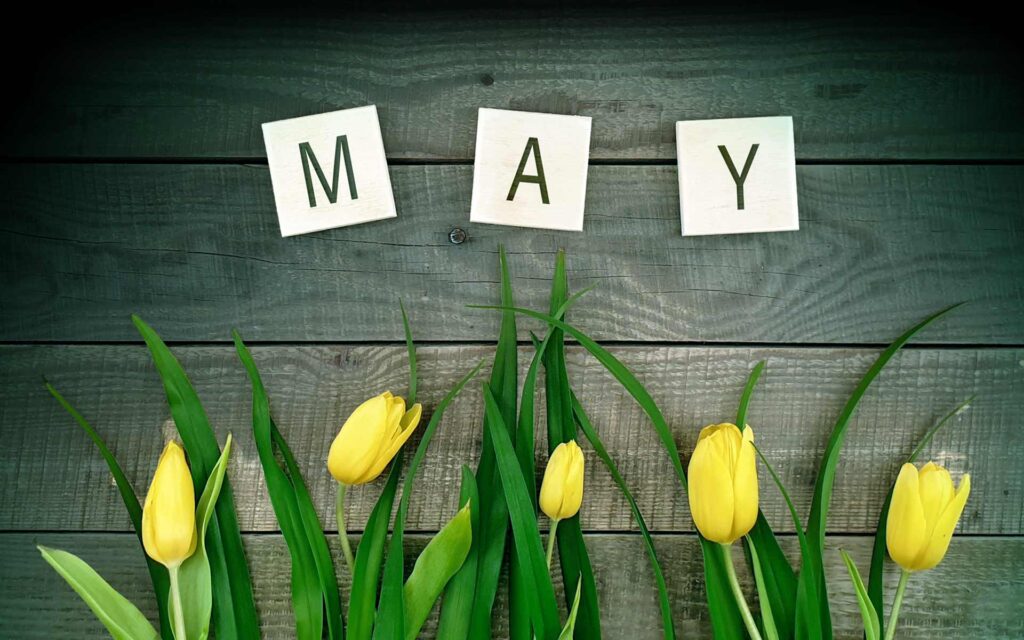 If you’re looking to make the most of your small business marketing efforts during the month of May, check out some of these ideas to get started and grow.